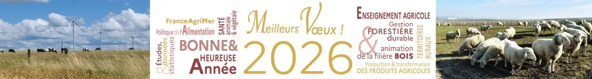 Voeux 2026