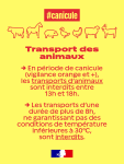 Vignette Image 2 : vignette canicule elevage3 1