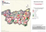 Vignette Image 3 : Carte_RA_D88_Evolution-Bovins2010-2020