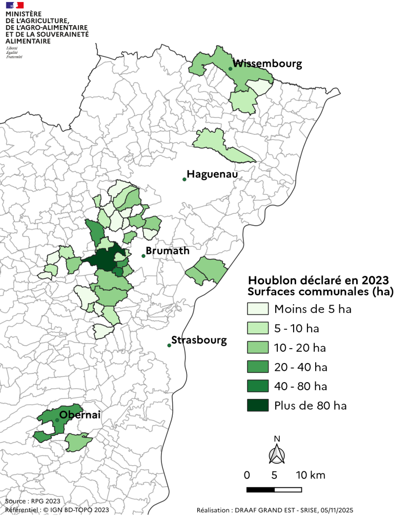 Une grande partie des surfaces se trouvent dans les communes à l'Ouest de Brumath, à Obernai et Wissembourg