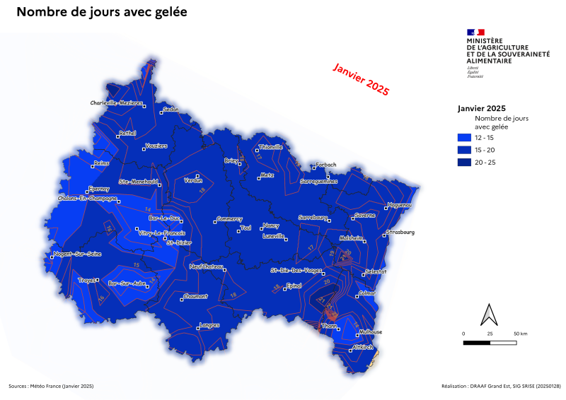 Image 2 : En janvier 2025 dans le Grand Est, c'est une période où se succèdent des vagues de jours froids. On compte 12 à 19 j de gelées voir plus de 20 j sur les crêtes vosgiennes.