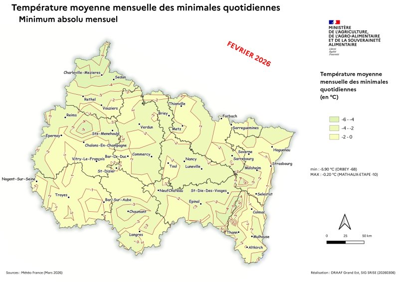 Image 6 : Temp&eacute;ratures minimales absolu quotidien - f&eacute;vrier 2026