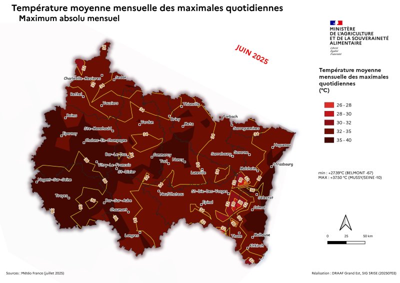 Image 7 : Températures maximales absolu quotidien - juin 2025