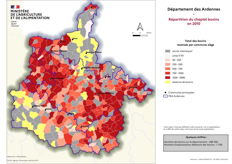 Image 3 : R&eacute;partition du cheptel bovins en 2010