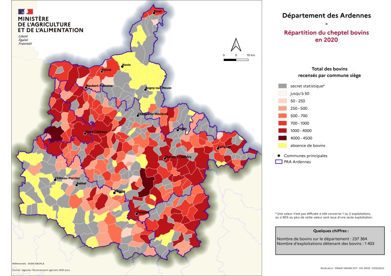 Image 4 : R&eacute;partition du cheptel bovins en 2020