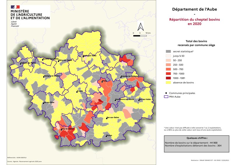 Image 4 : Répartition du cheptel bovins en 2020