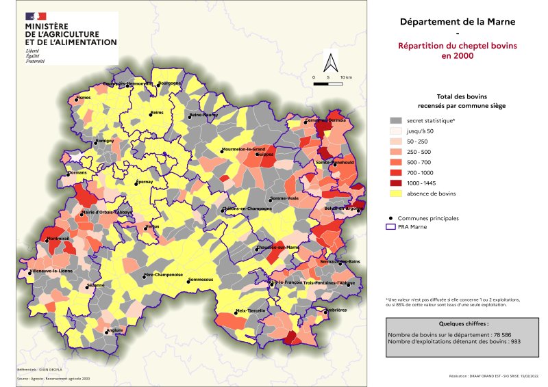 Image 2 : Répartition du cheptel bovins en 2000