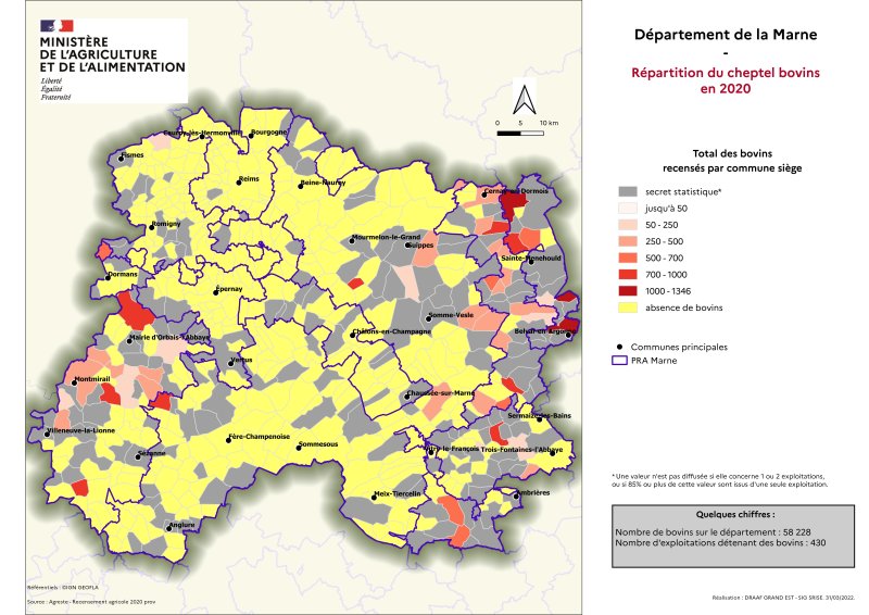 Image 4 : Répartition du cheptel bovins en 2020