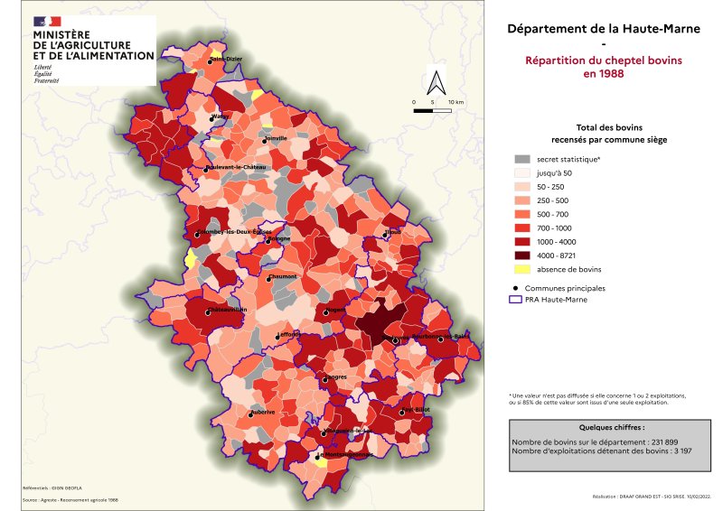 Image 1 : Répartition du cheptel bovins en 1988