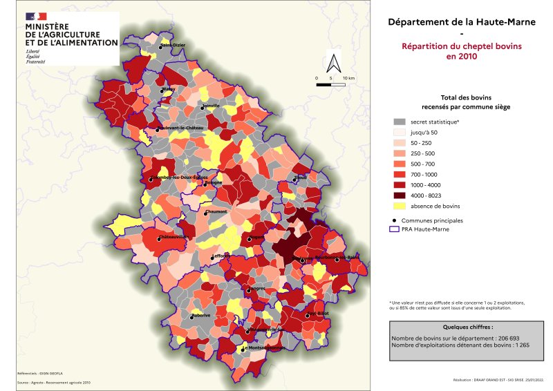 Image 3 : Répartition du cheptel bovins en 2010