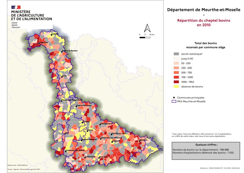 Image 3 : R&eacute;partition du cheptel bovins en 2010