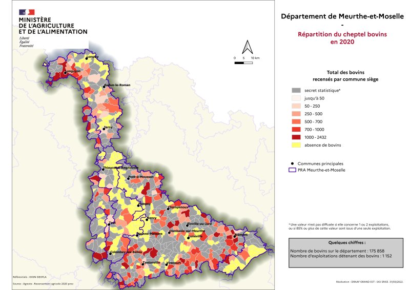 Image 4 : R&eacute;partition du cheptel bovins en 2020