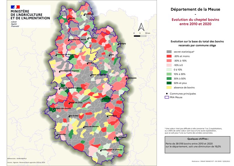 Image 3 : Carte_RA_D55_Evolution-Bovins2010-2020