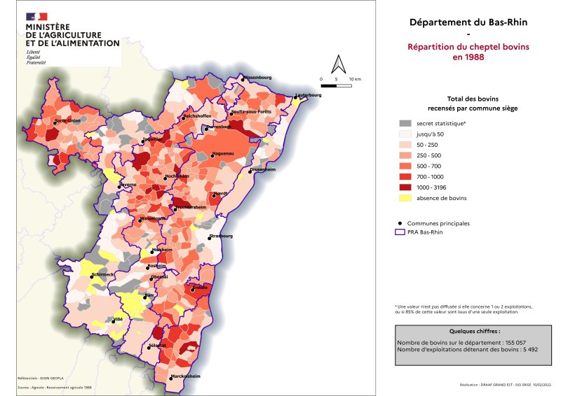Image 1 : Répartition du cheptel bovins en 1988