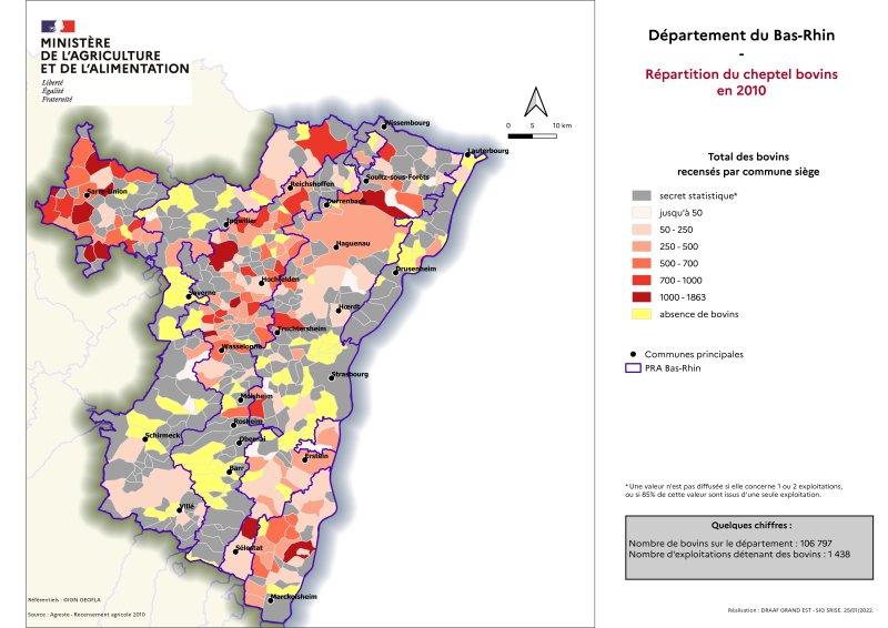 Image 3 : Répartition du cheptel bovins en 2010