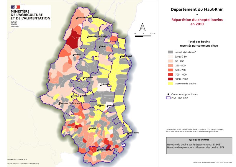 Image 3 : Répartition du cheptel bovins en 2010