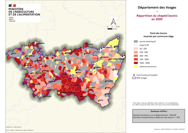 Image 4 : Répartition du cheptel bovins en 2020