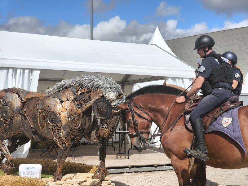 Image 1 : Cheval m&eacute;canique